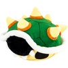 Bowser Shell